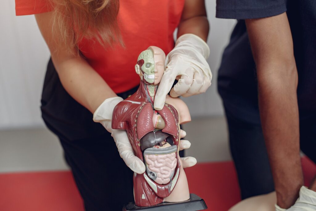 Abdominal Pain