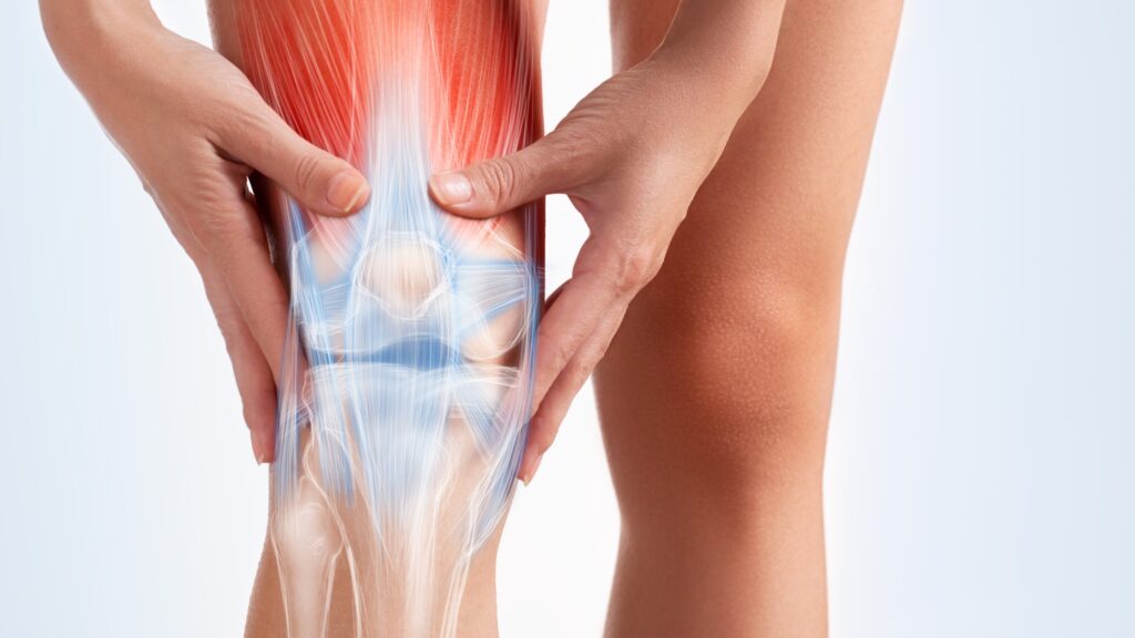 Knee Pain